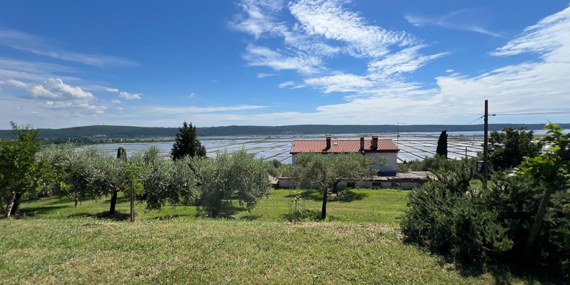 Blue Horizon Apartments Seca Portorož Exterior foto